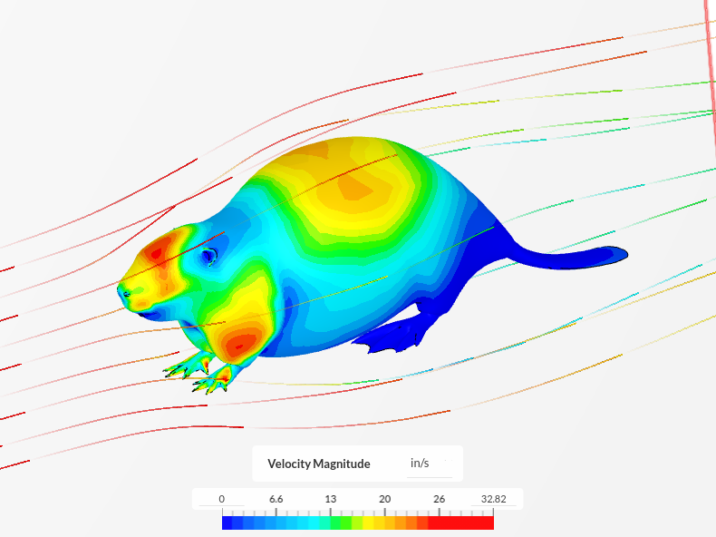 Beaver aerodynamics image