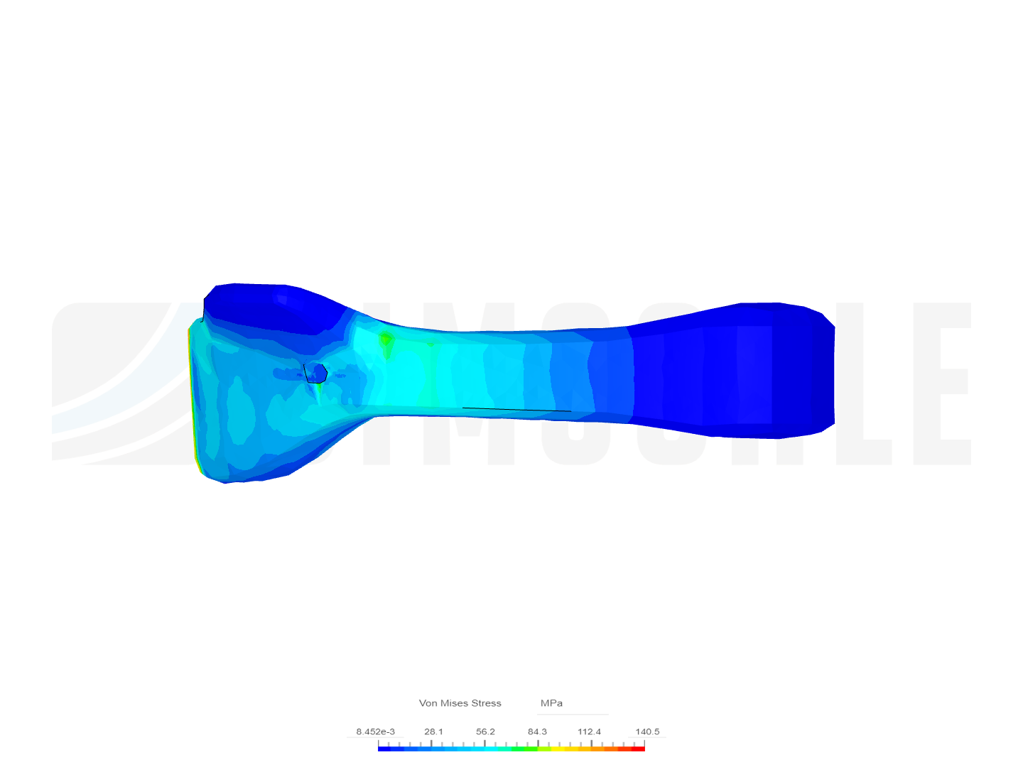 Radiodactylus image