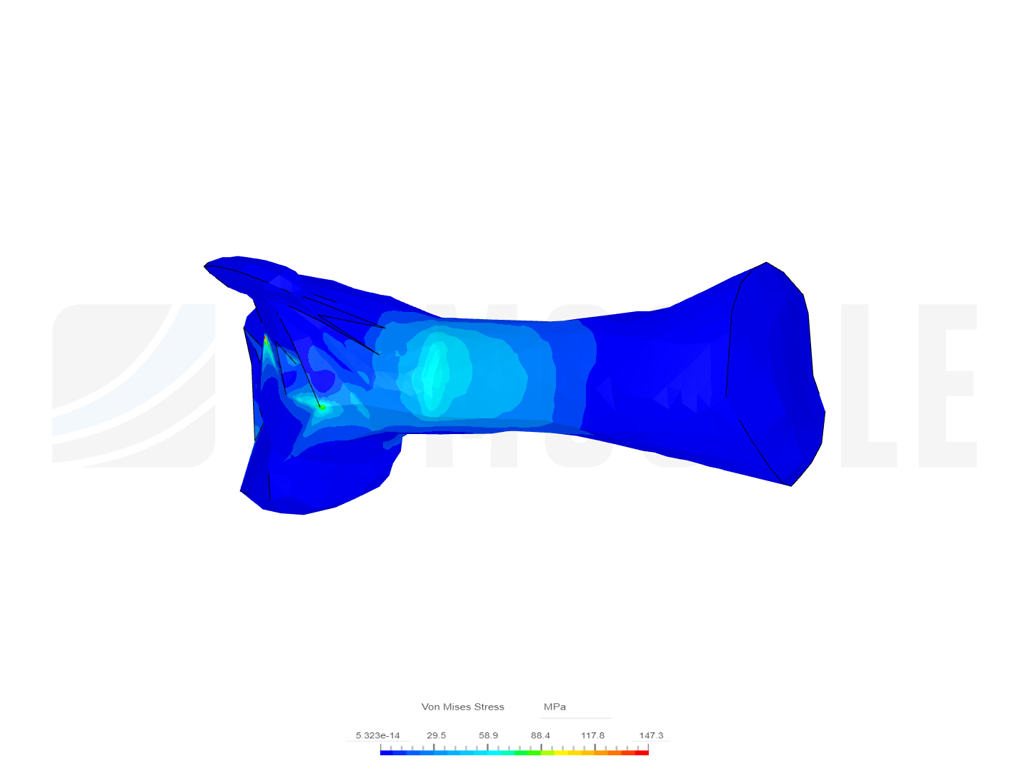 Zhejiangopterus image