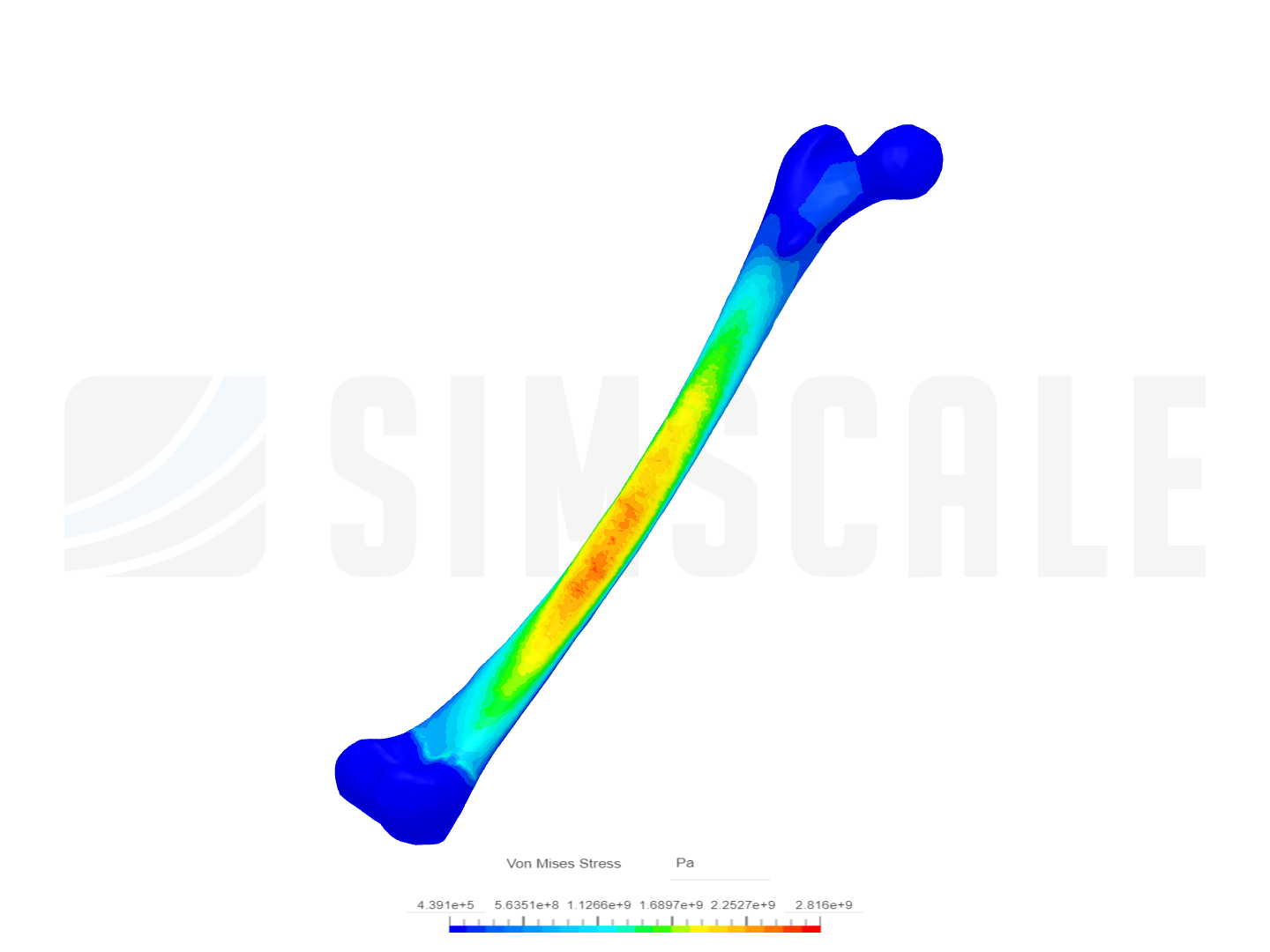 Proyecto Final Alma image