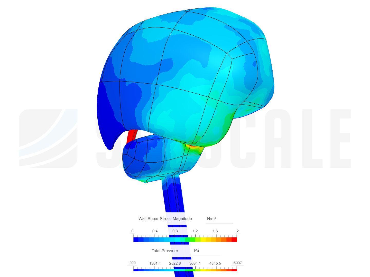 CSF project image