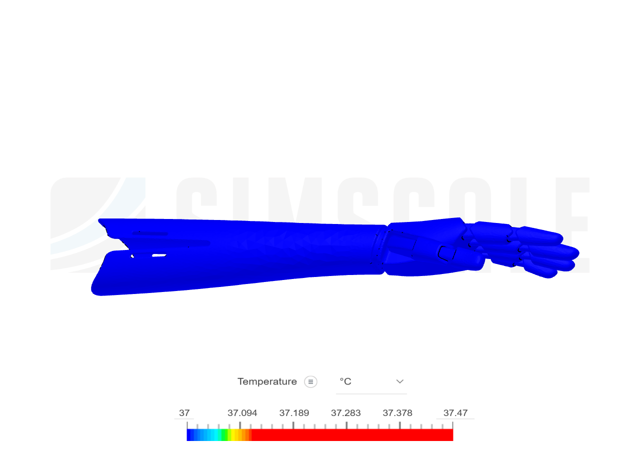 Biotransport image