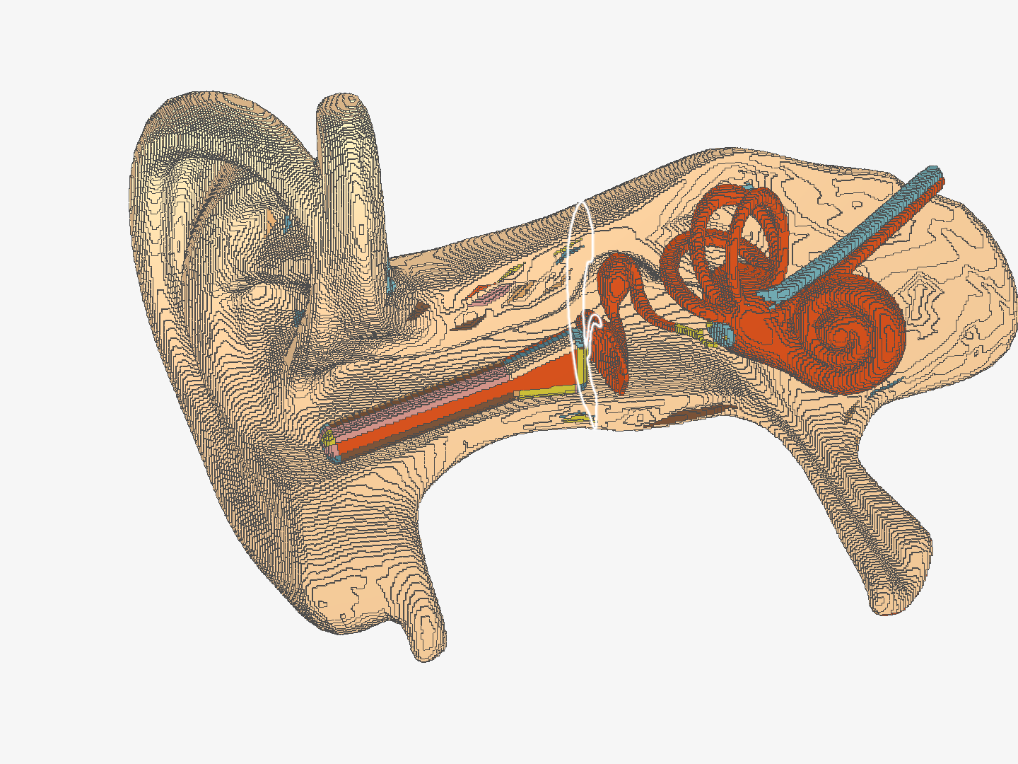 Ear Cooling System image