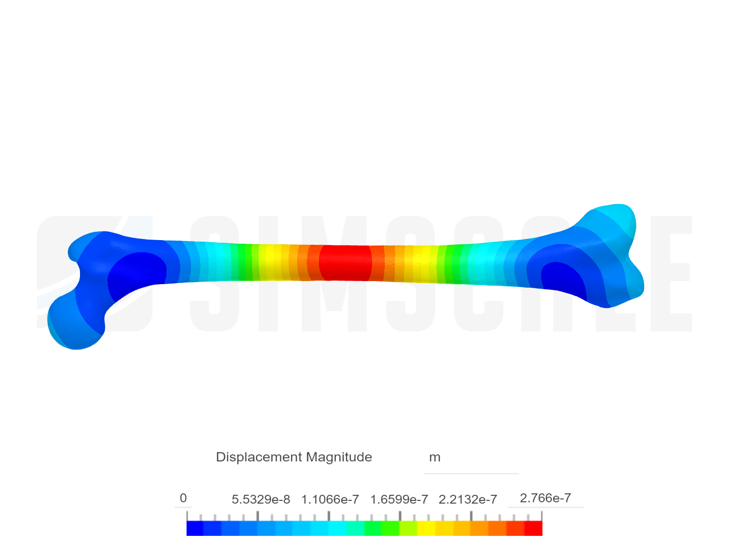 Fémur de hueso humano image