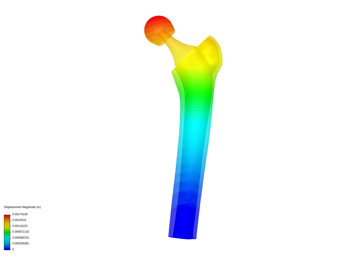 Hip joint image