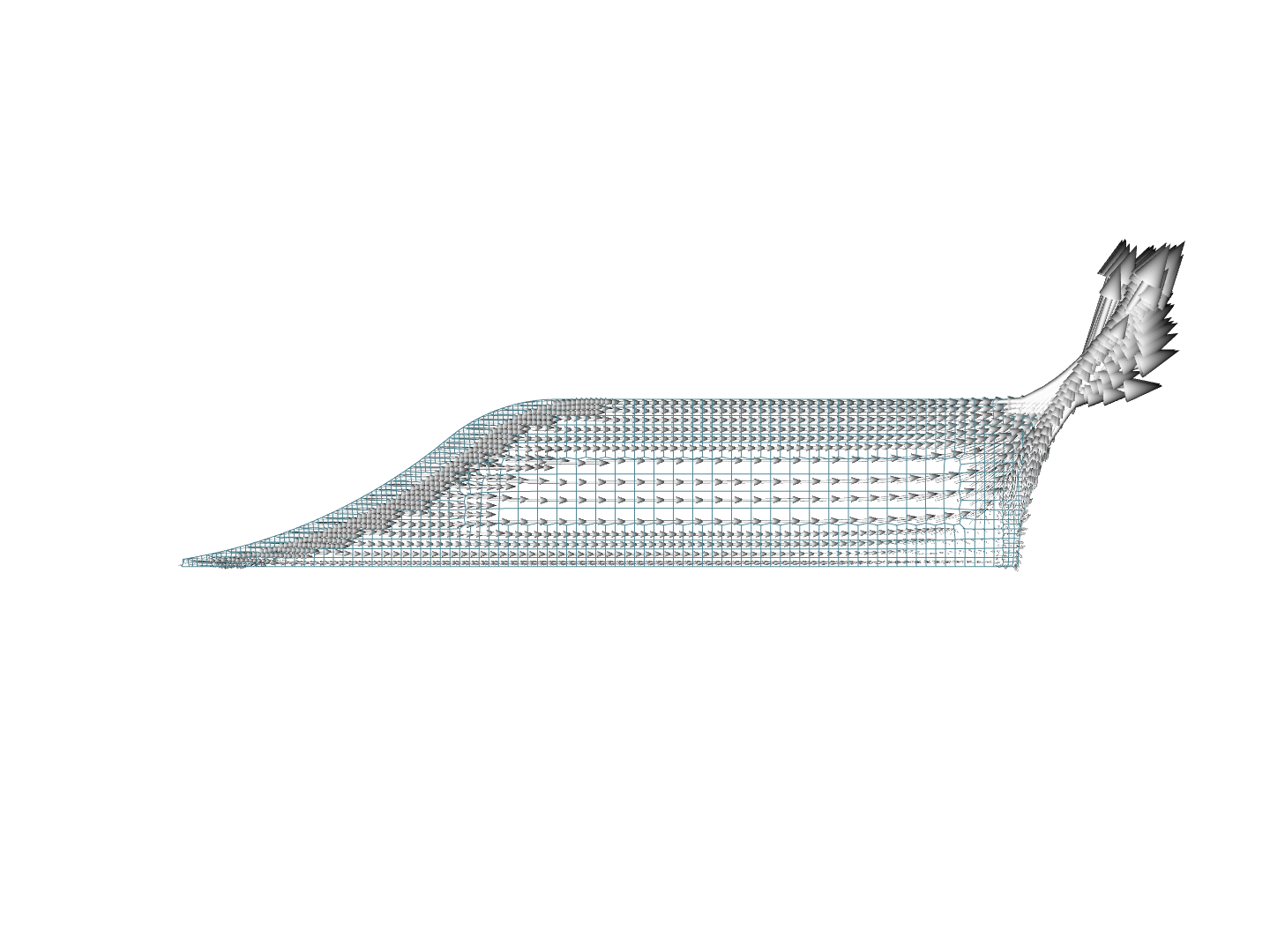 Analisi cfd prova 1 image