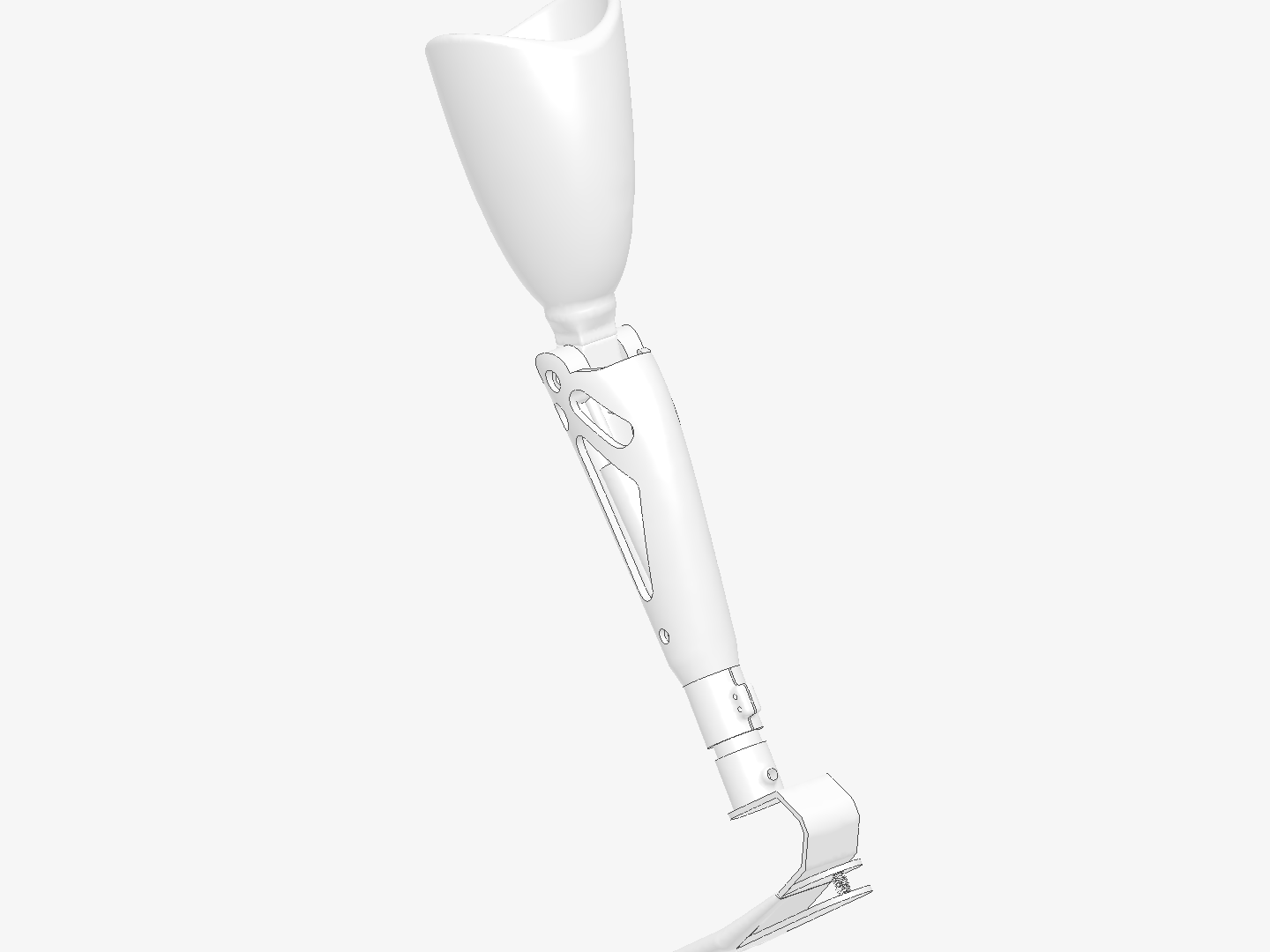 Prosthetic-feet-1 - Copy image