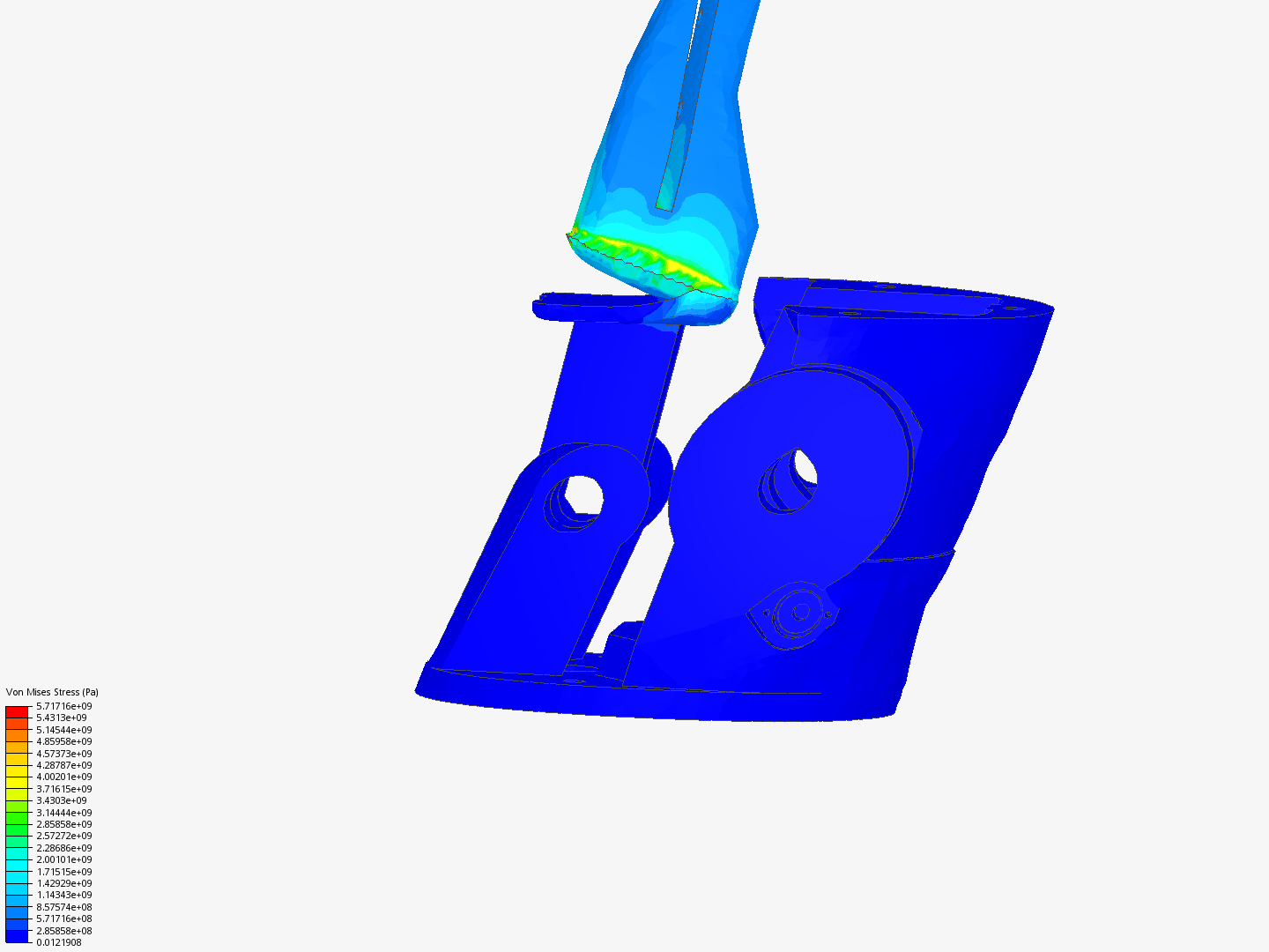 protesis image