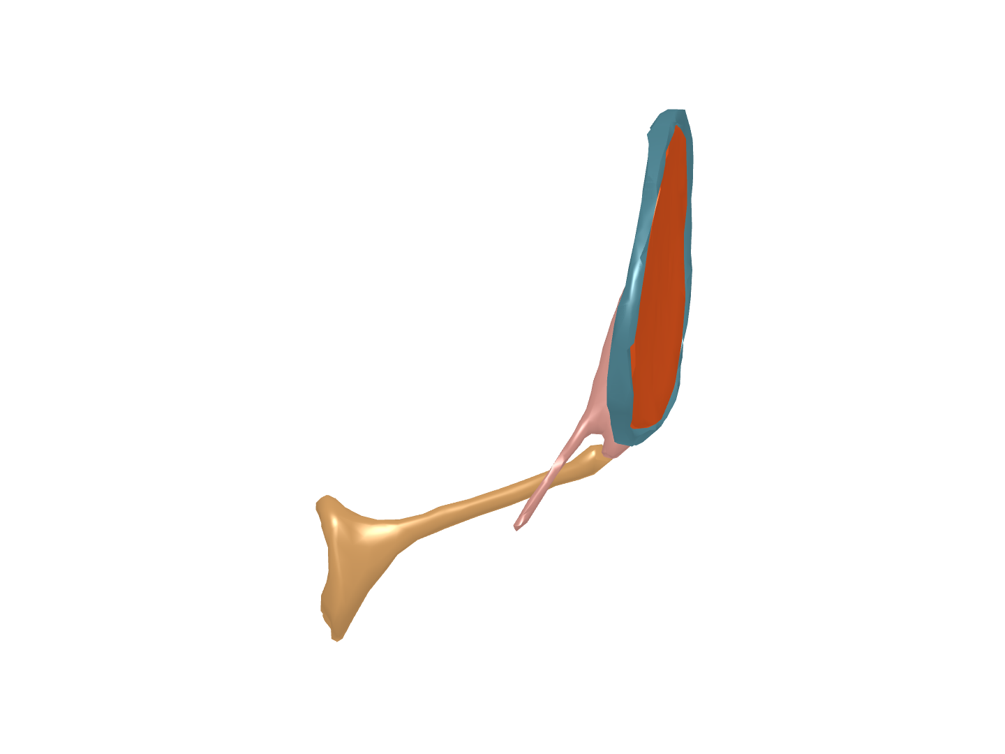 Copy of FEA 500 face per part image