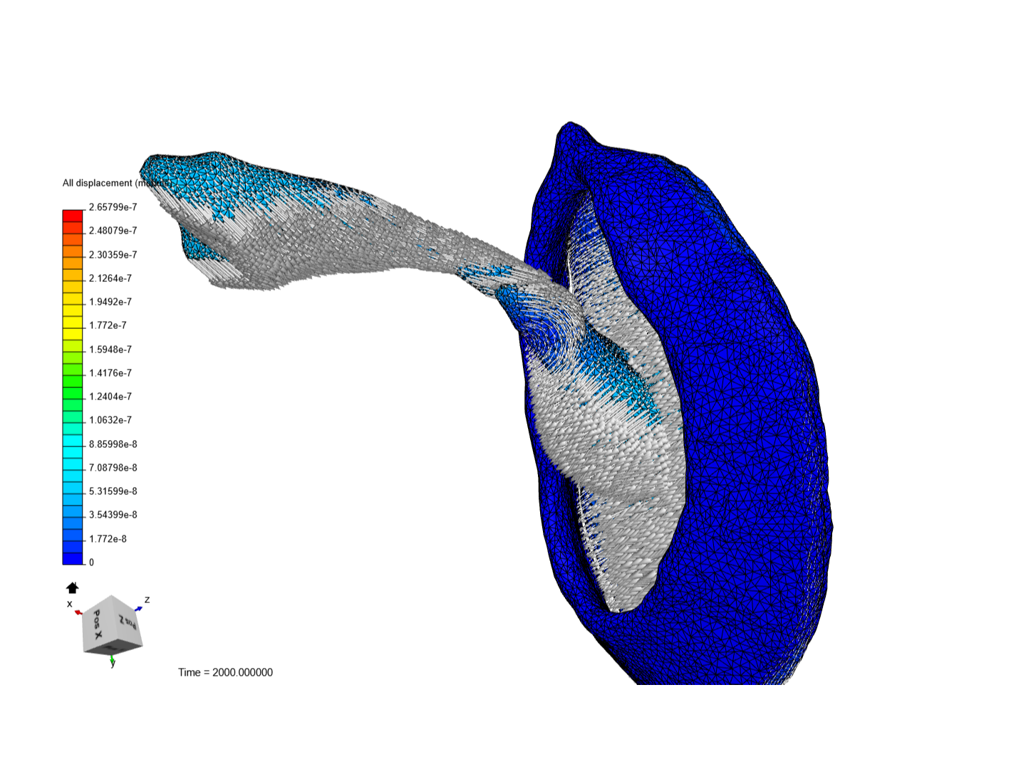 R. marina 1 image