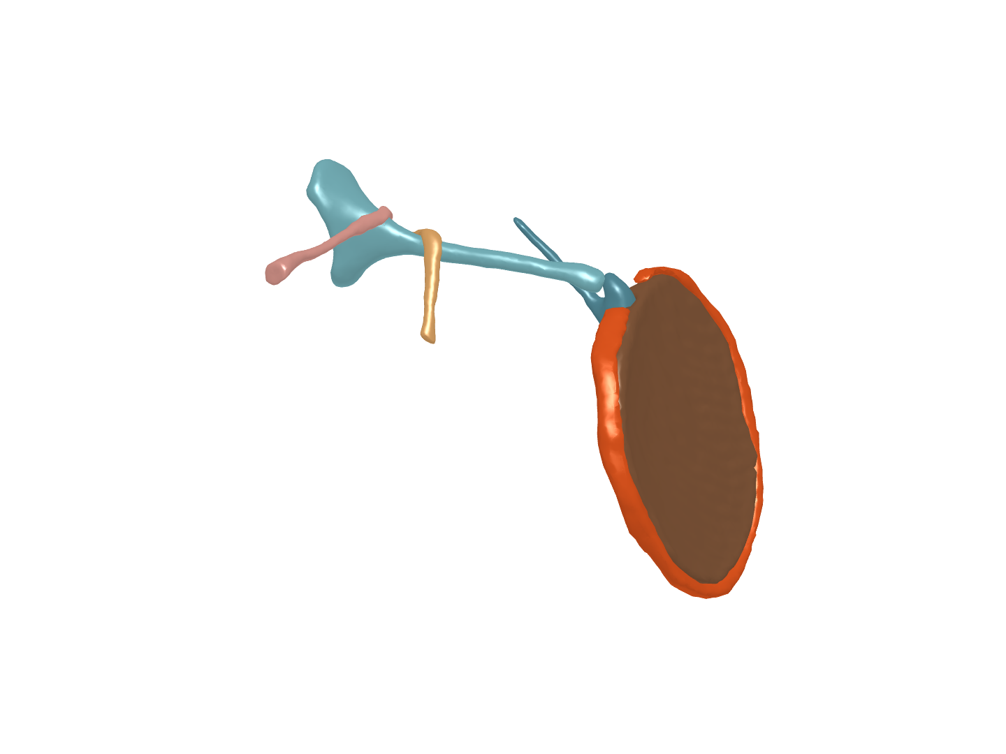 testing tendon material properties copy 2 1000E image