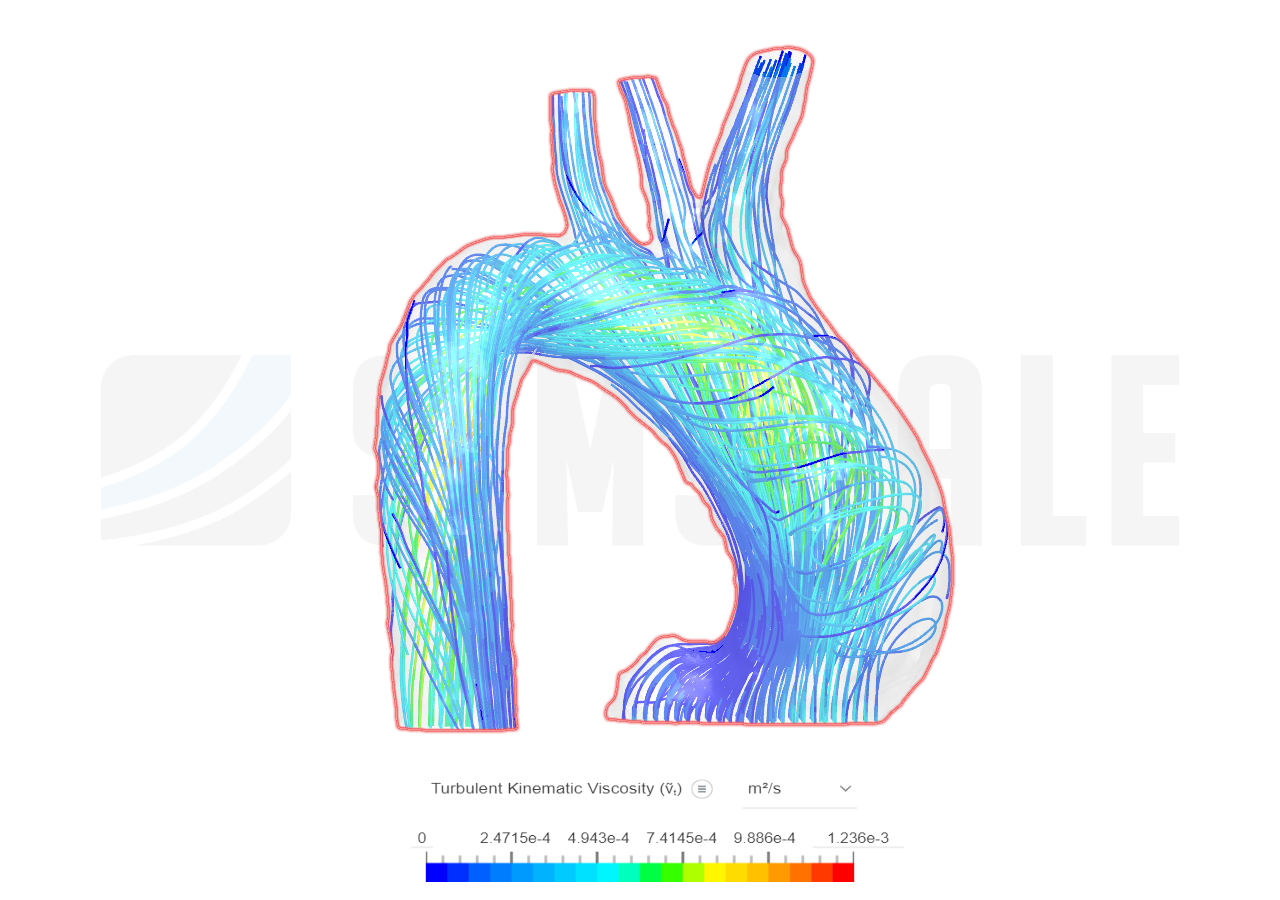 aorta 3 image