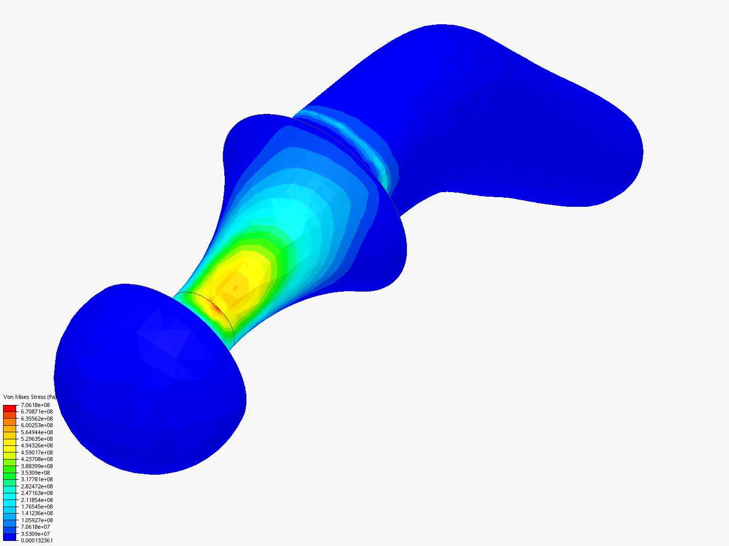 Simulacion de Hueso image