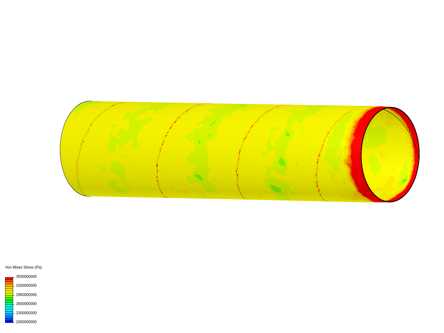 Coclea (torsione) image