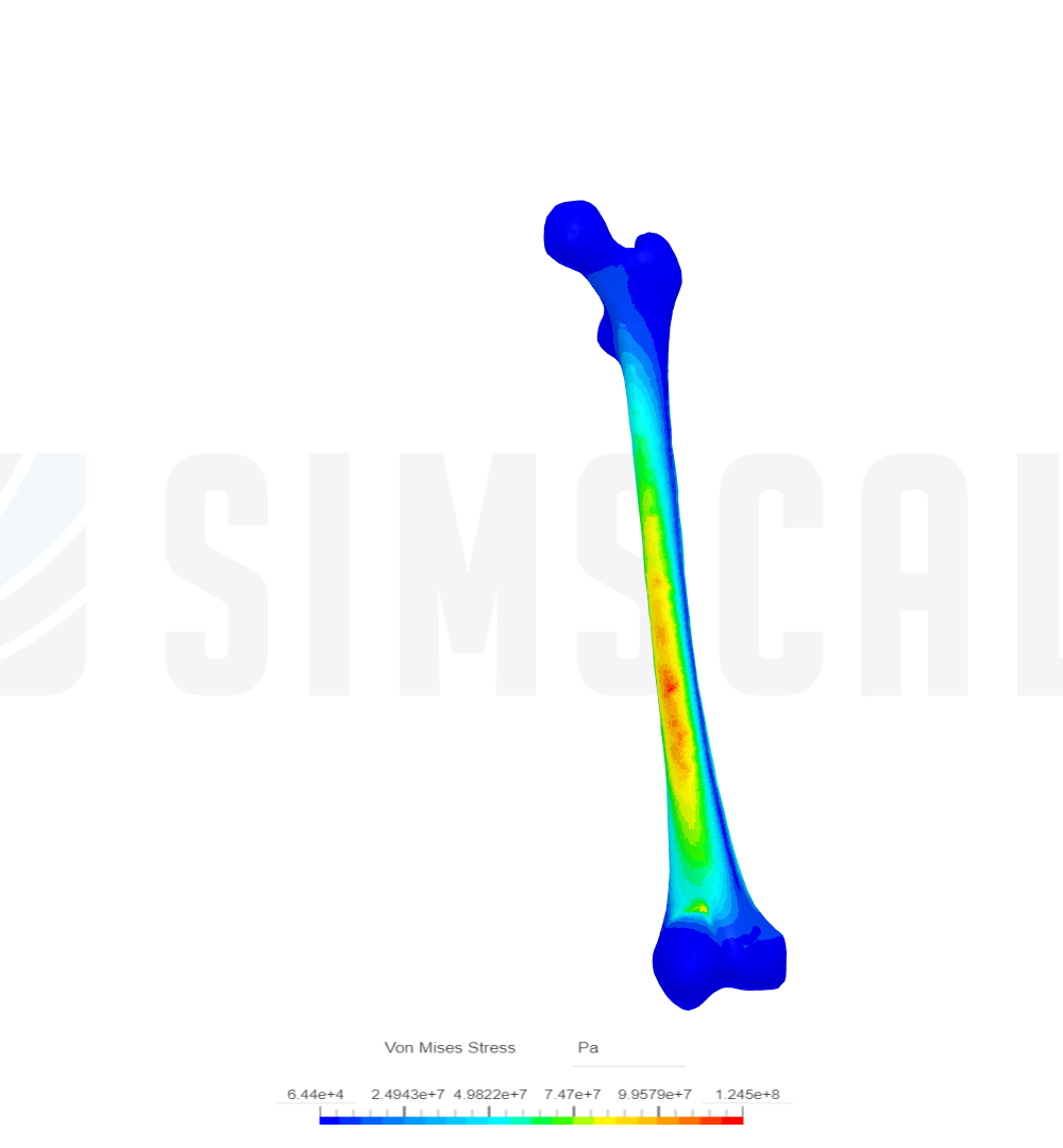 Examen 3 Simulación image