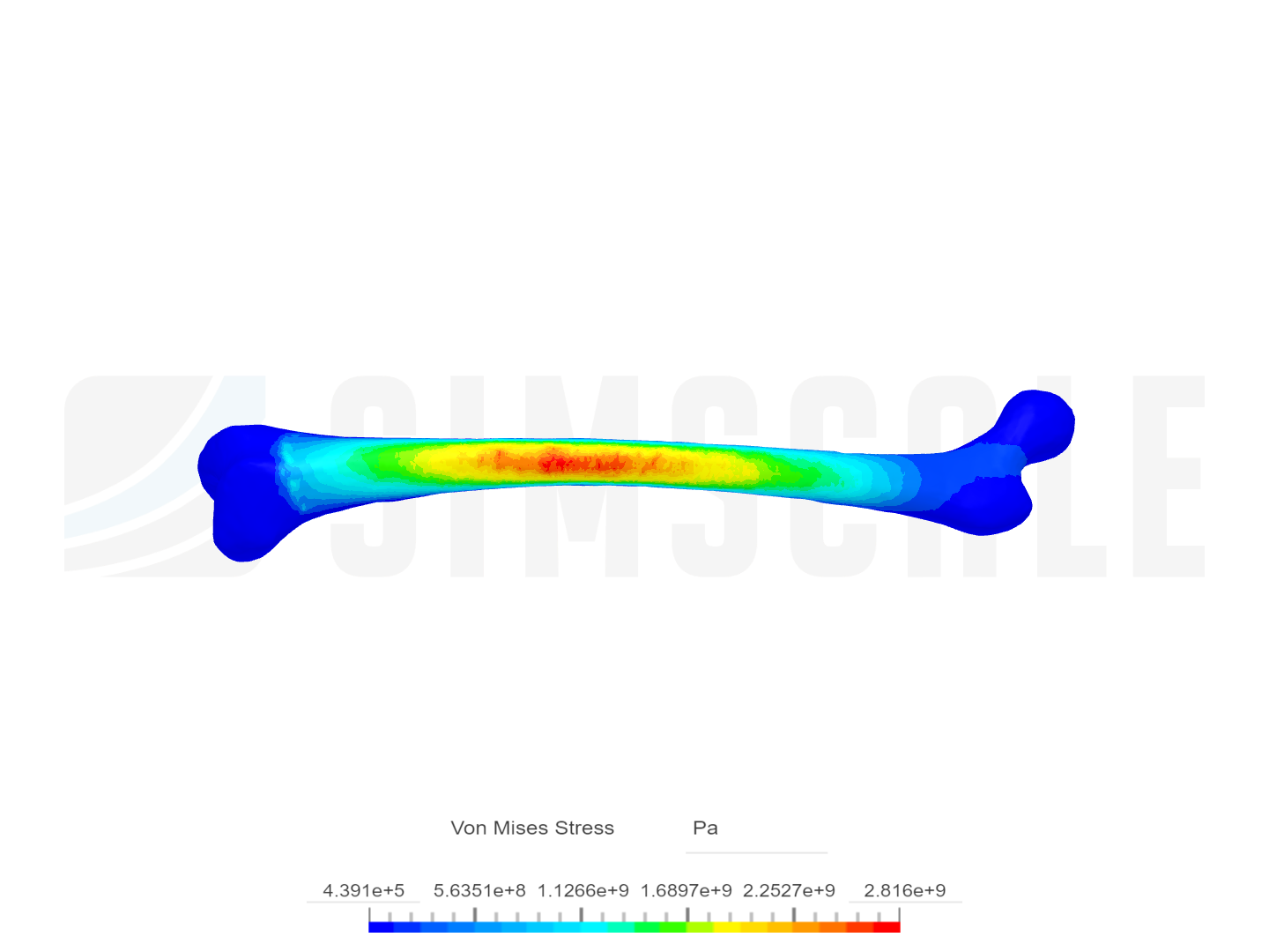 Proyecto Final. Simulación de Biomateriales image