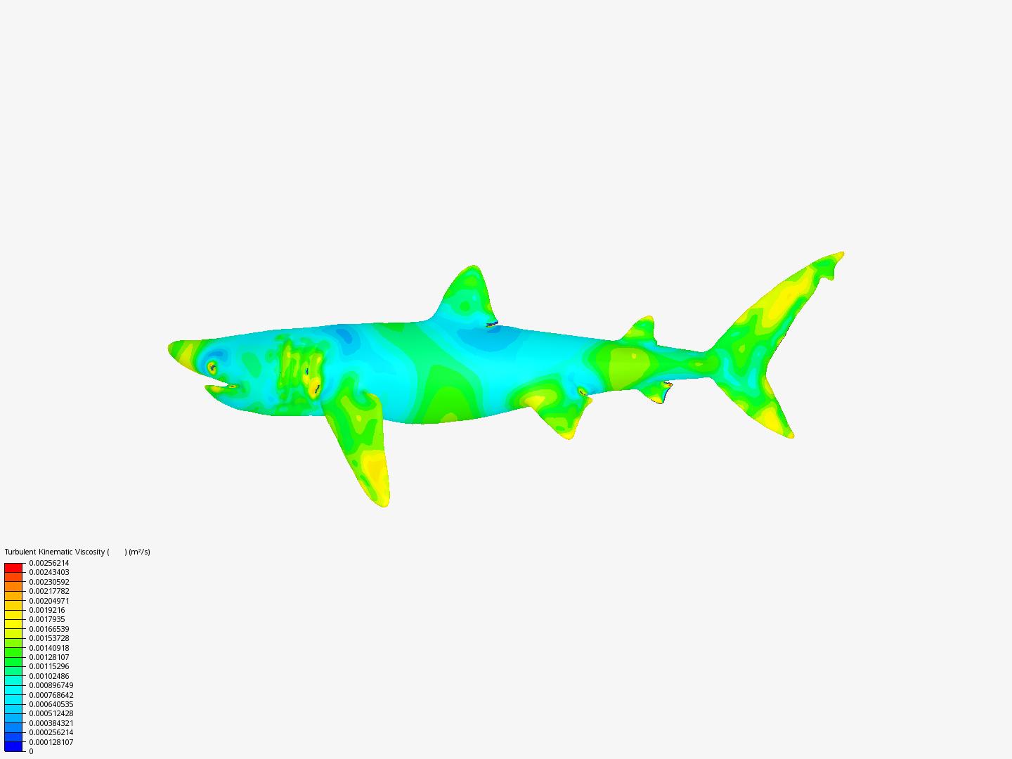 Megalodon hydrodinamic image