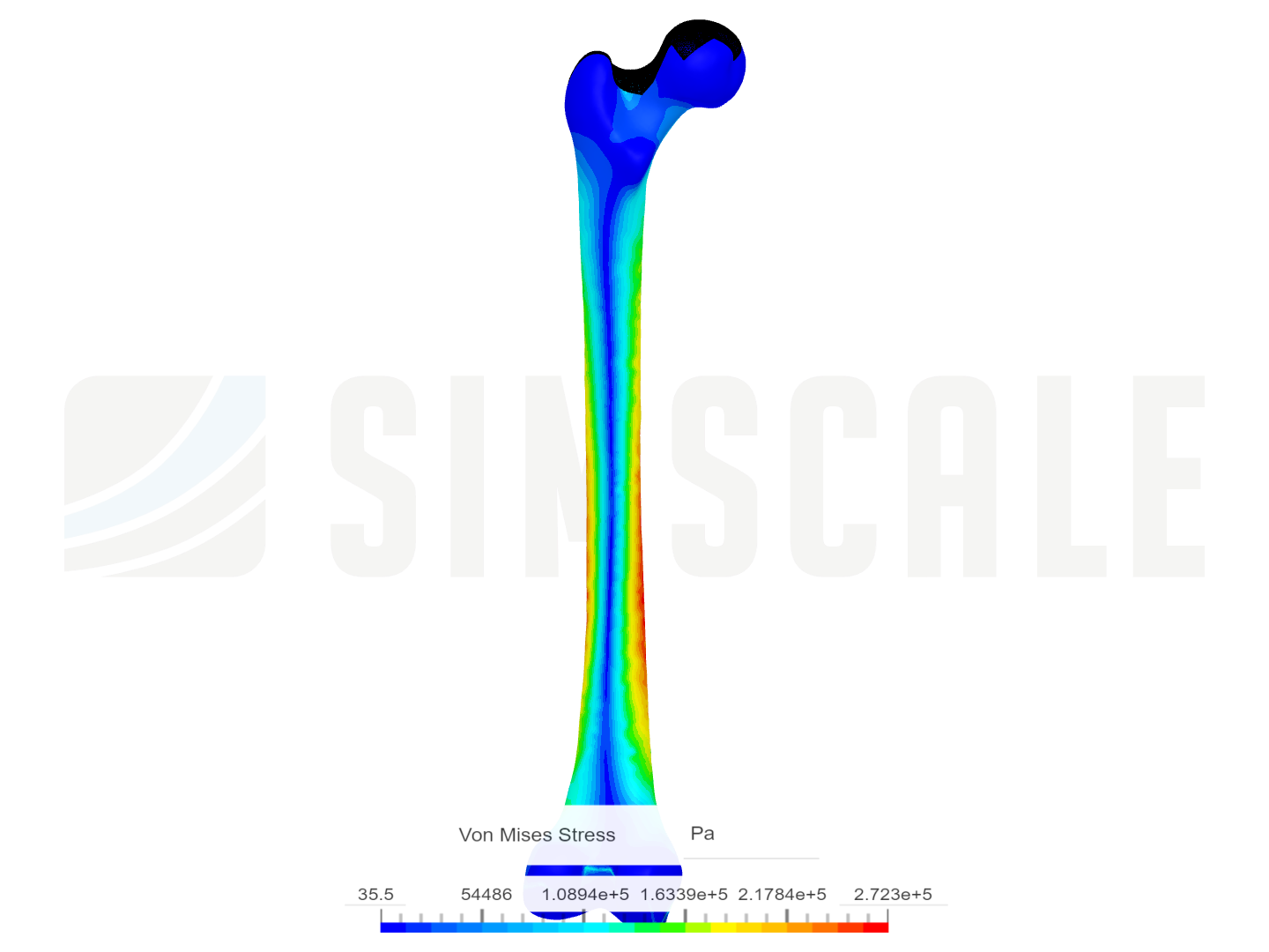 Fémur proyecto semestral image