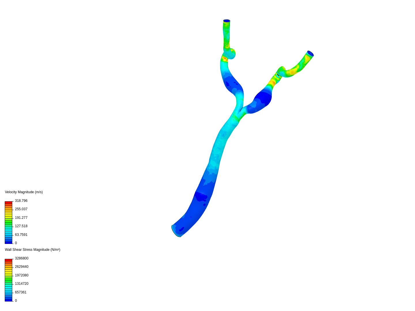 Wall Shear Stress in Aorta image