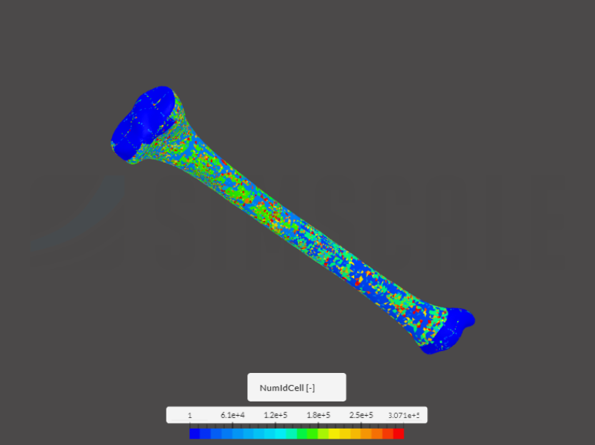 tibia 1 image