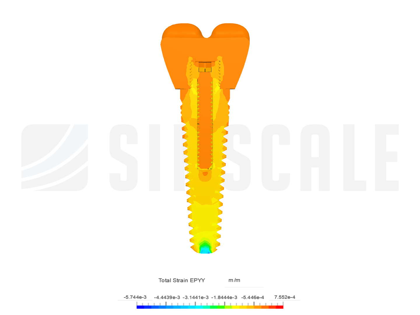 Applied Biomaterials - Final Project image