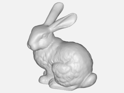 bunny flow image