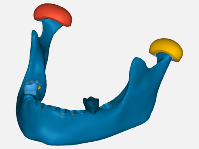 Mandible image