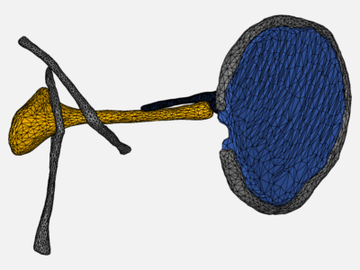 cartilage cushion simulation 2 mesh 10 image