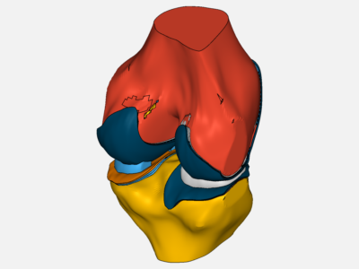 Fe Test for knee - Copy image