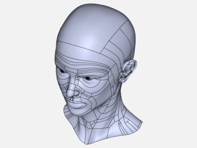 Head bust image