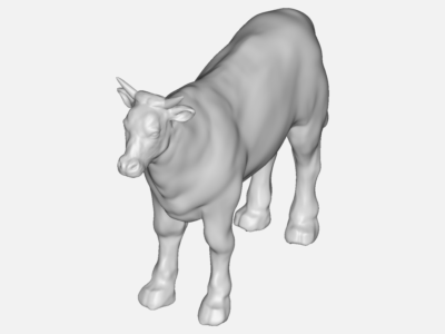 cow of cow image