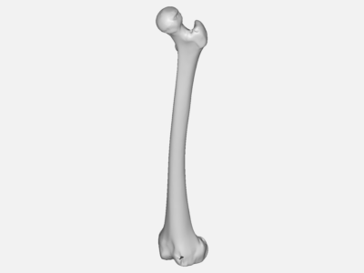 Bone test - femur image