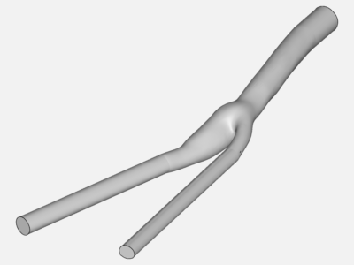 Blood flow in a Carotid Artery Bifurcation - Homework - Copy image