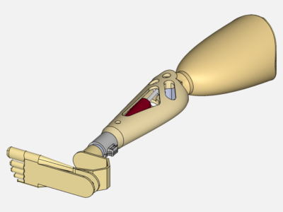 Prosthetic-feet-1 image