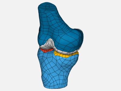 Knee joint image