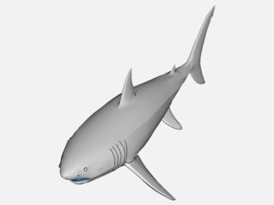 shark 5 image