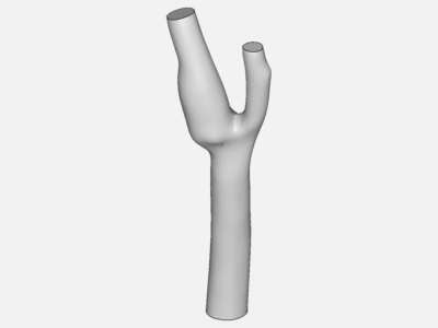 Carotid Blood Flow image