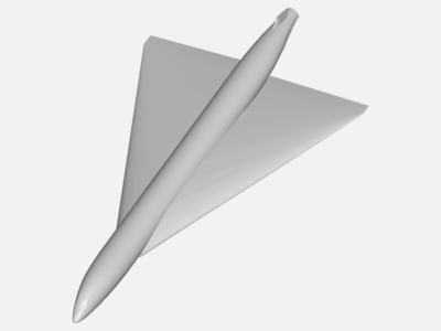 Delta Wing Design on Fuselage image