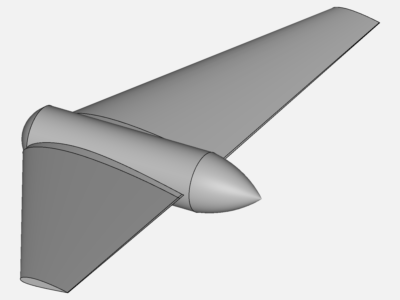 Flying-wing image