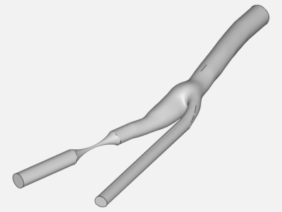 Carotid Artery Bifurcation2 image