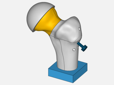 Left Femur Head image