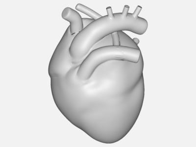 3d heart image