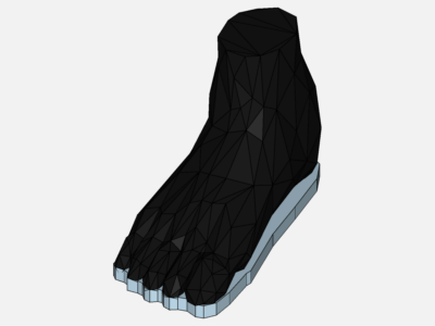 PCS_foot_realistic image