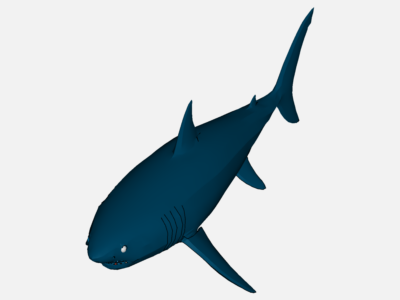 shark 4 image