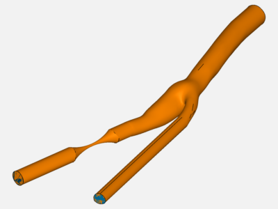 Blood flow in a Carotid Artery Bifurcation - Homework image