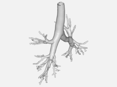 CFD model of airway image