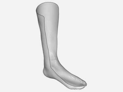 Ankle Foot Orthosis - AFO image