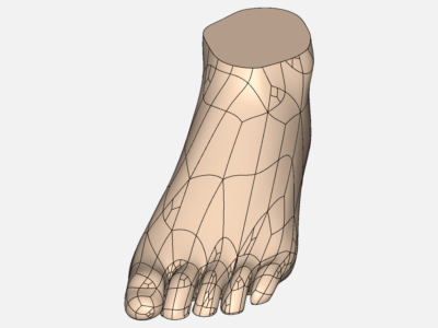 BME 4504 Foot image