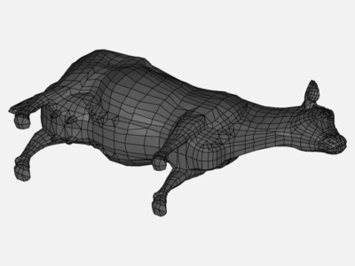 Aerodynamics of a Cow image