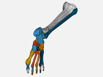 tibial joint image